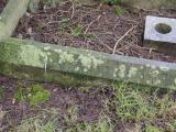 image of grave number 797192